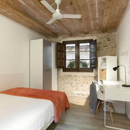 Classic Palau Apartment