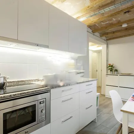 Classic Palau Apartment Barcelona